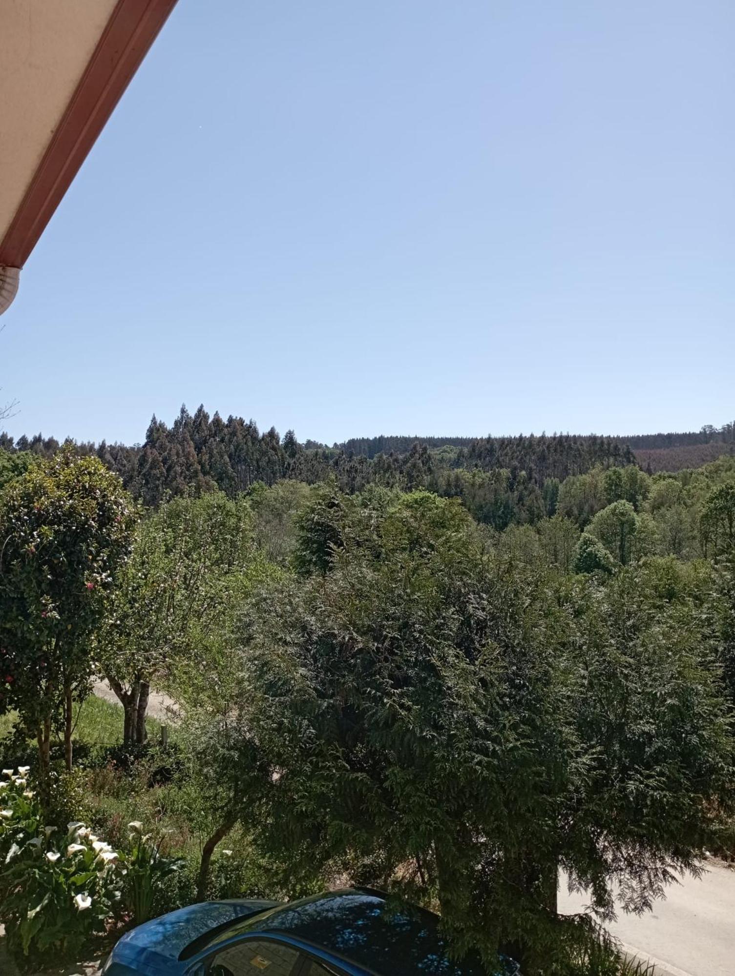 A Casa Do San Paio De Buscas Lejlighed Ordes Eksteriør billede