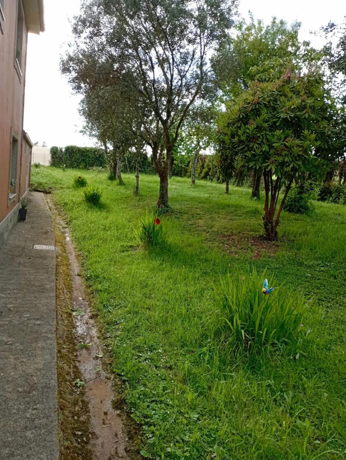 A Casa Do San Paio De Buscas Lejlighed Ordes Eksteriør billede