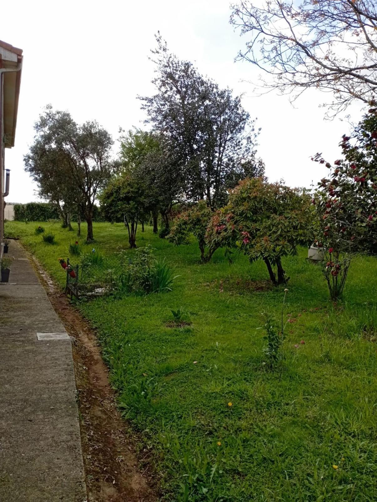 A Casa Do San Paio De Buscas Lejlighed Ordes Eksteriør billede